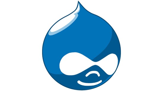 Large image of the Drupalicon graphic.